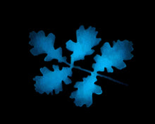 Charger l'image dans la galerie, époxy phosphorescent